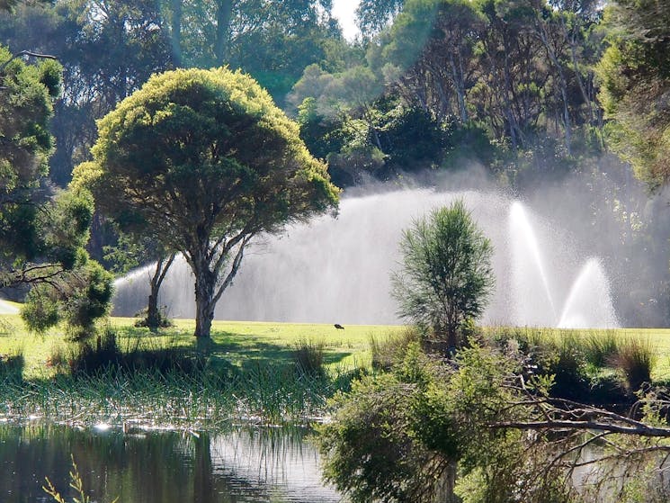 Sprinklers on course