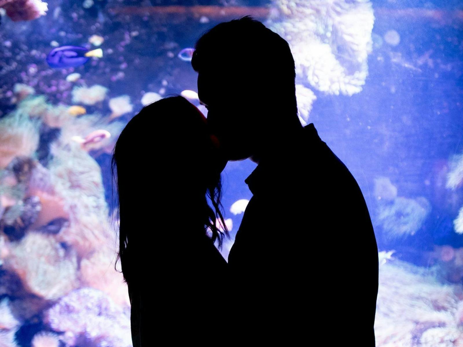 Adults Only Evening - SEA LIFE Sydney Aquarium