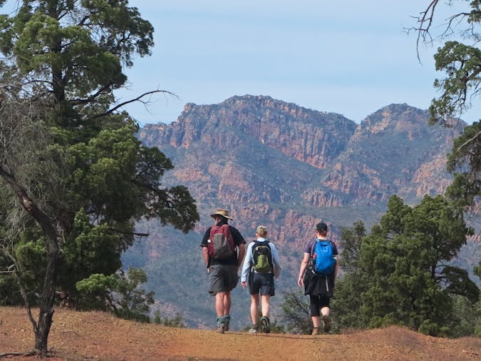 Walking the Flinders Ranges Three and Five Day Guided Bushwalks