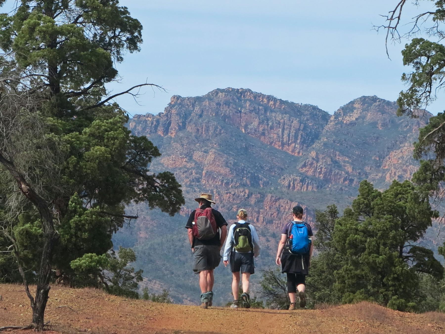 Wilcolo Track on a Flinders By Foot Guided Walking Tour