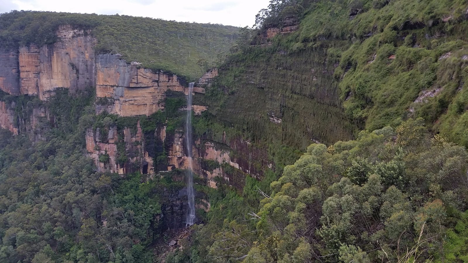 Sydney Private Guided Tours