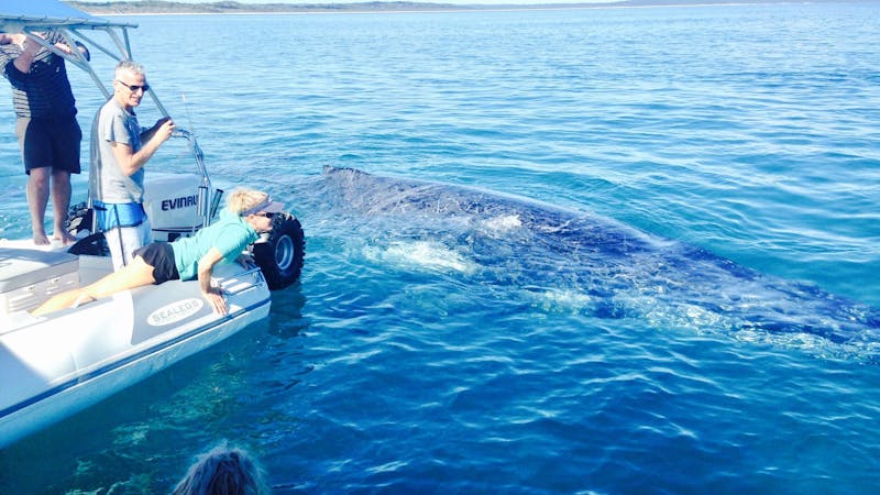 Remote Fraser Island Experience and Whale Watch Encounter – Tasman Venture