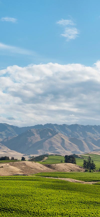 New Zealand Wine Dinner at Jamison