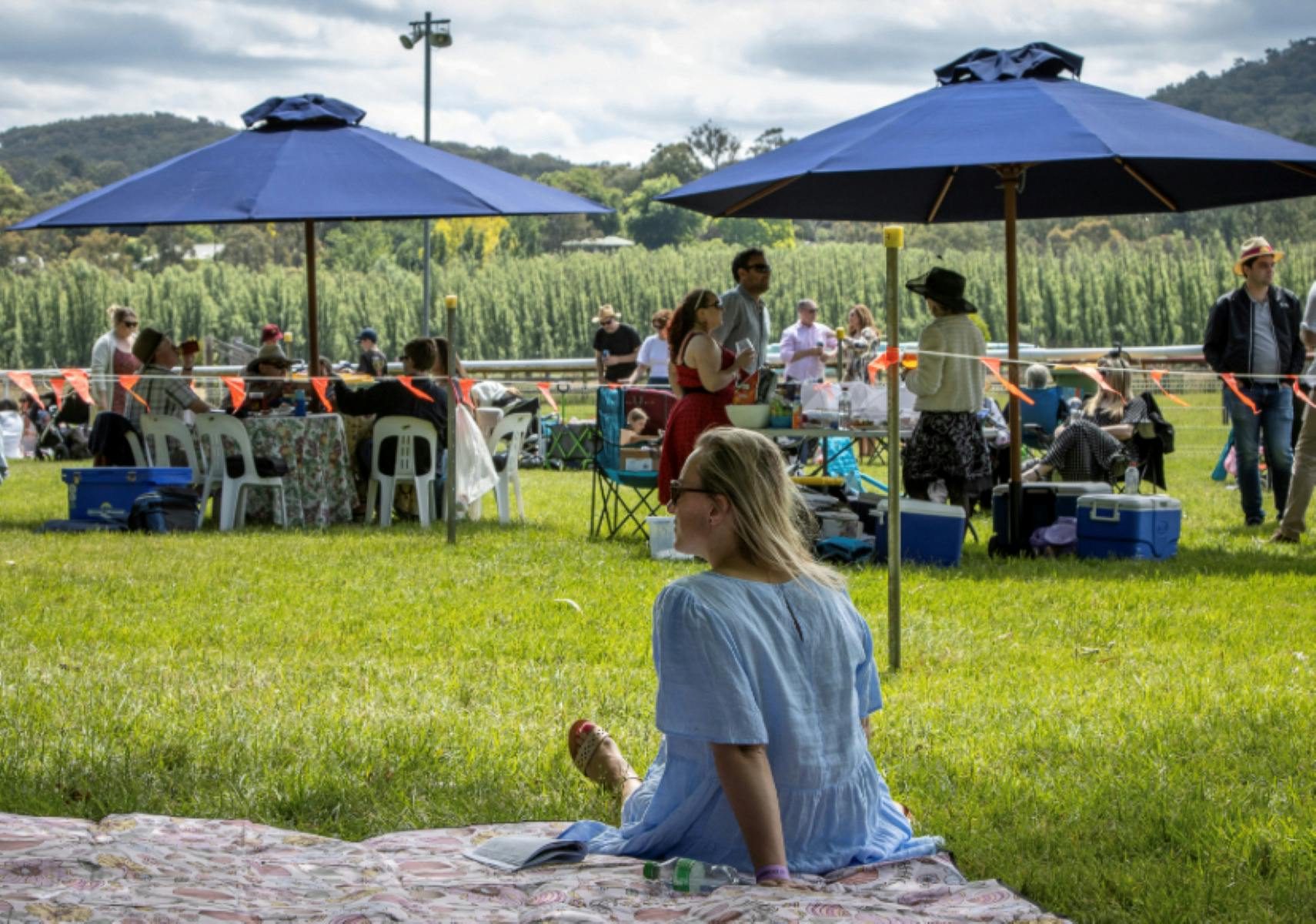 Picnic at the Healesville Races