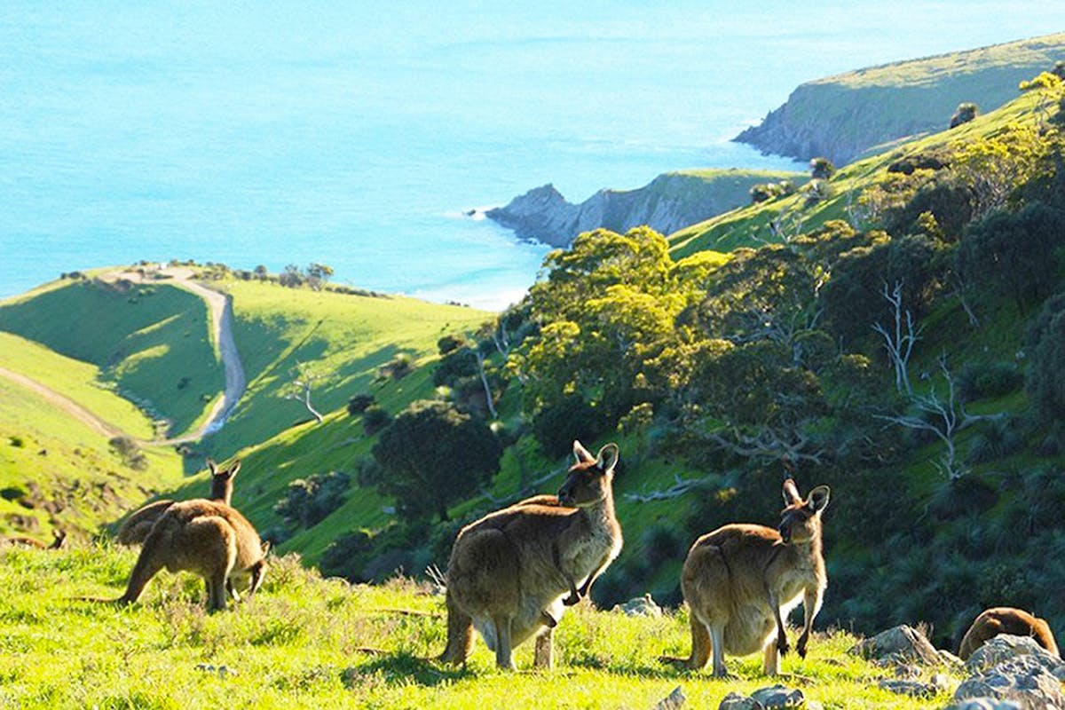 Beautiful coastal views throughout the adventure