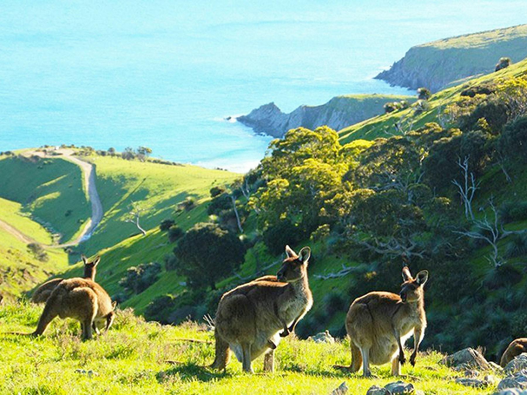 Beautiful coastal views throughout the adventure