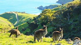 Beautiful coastal views throughout the adventure