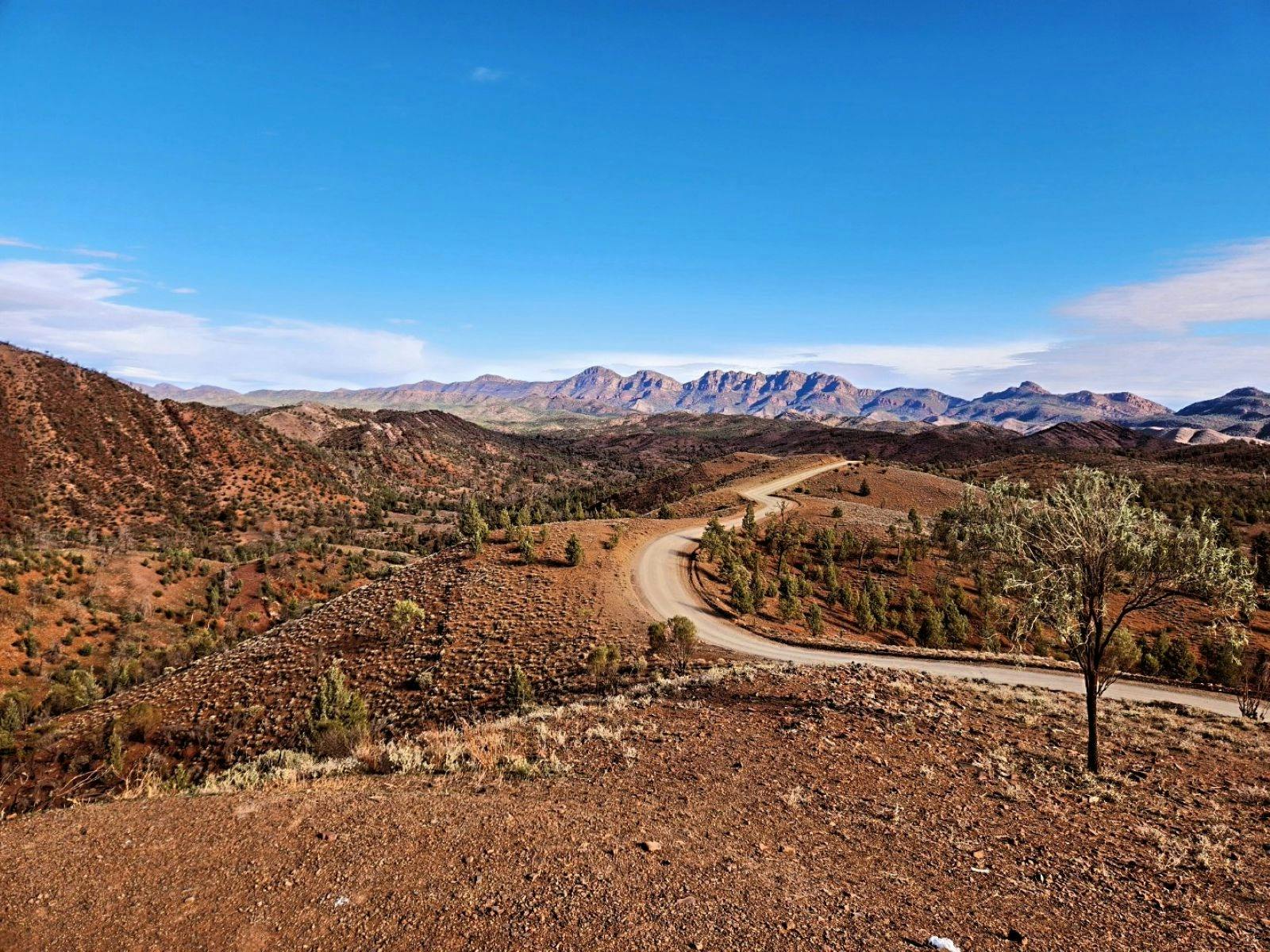 Flinders Ranges and Clare Valley Bike Tour