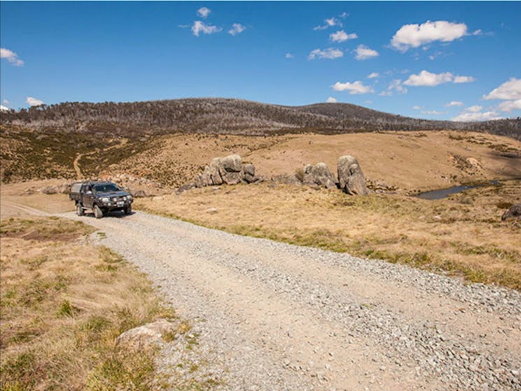 Four Mile Hut trail, Kosciuszko National Park. Photo: Murray Vanderveer