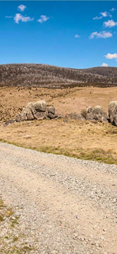 Four Mile Hut trail, Kosciuszko National Park. Photo: Murray Vanderveer