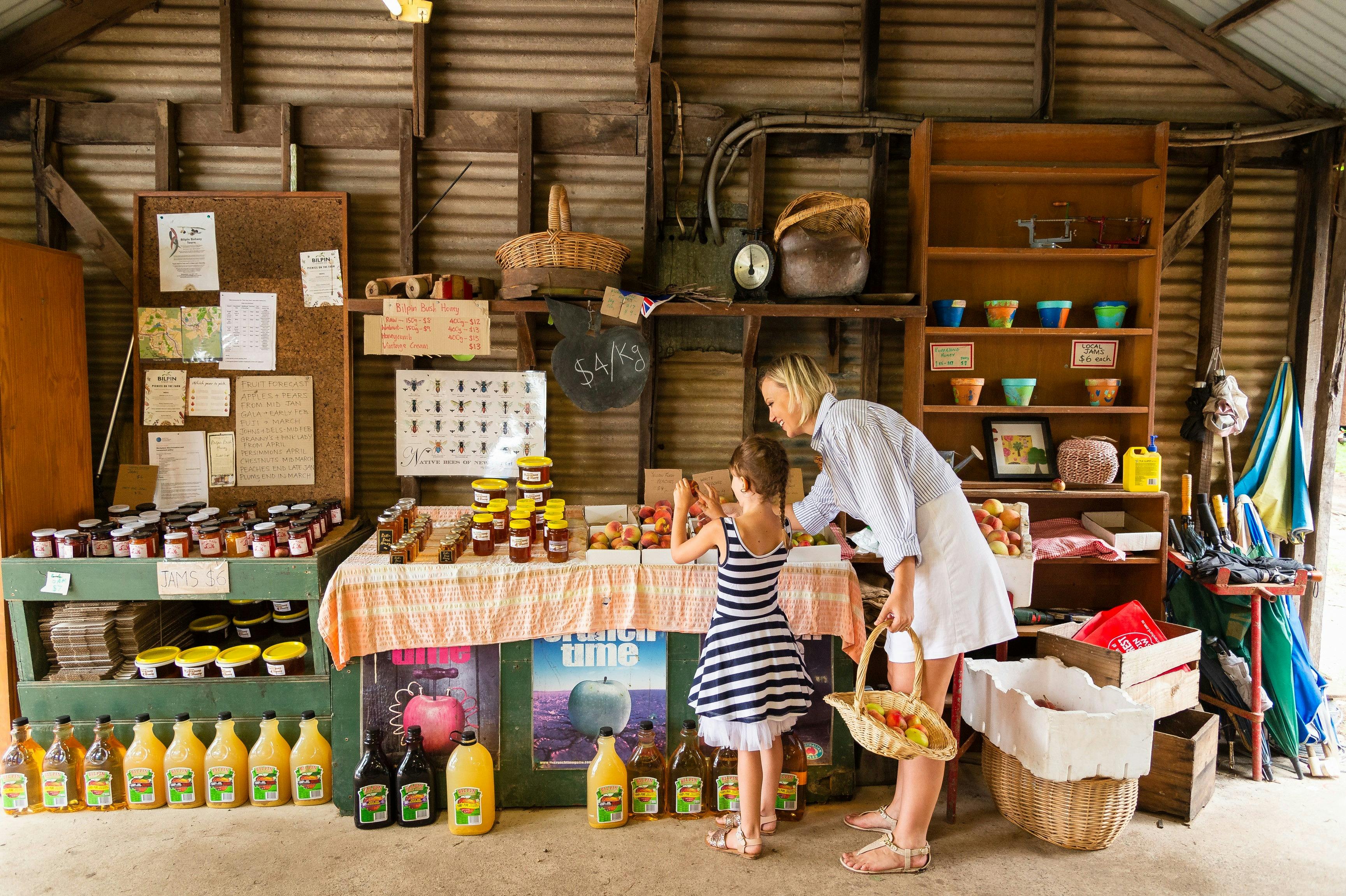 Family enjoying a day of fruit picking at Pine Crest Orchard, Bilpin