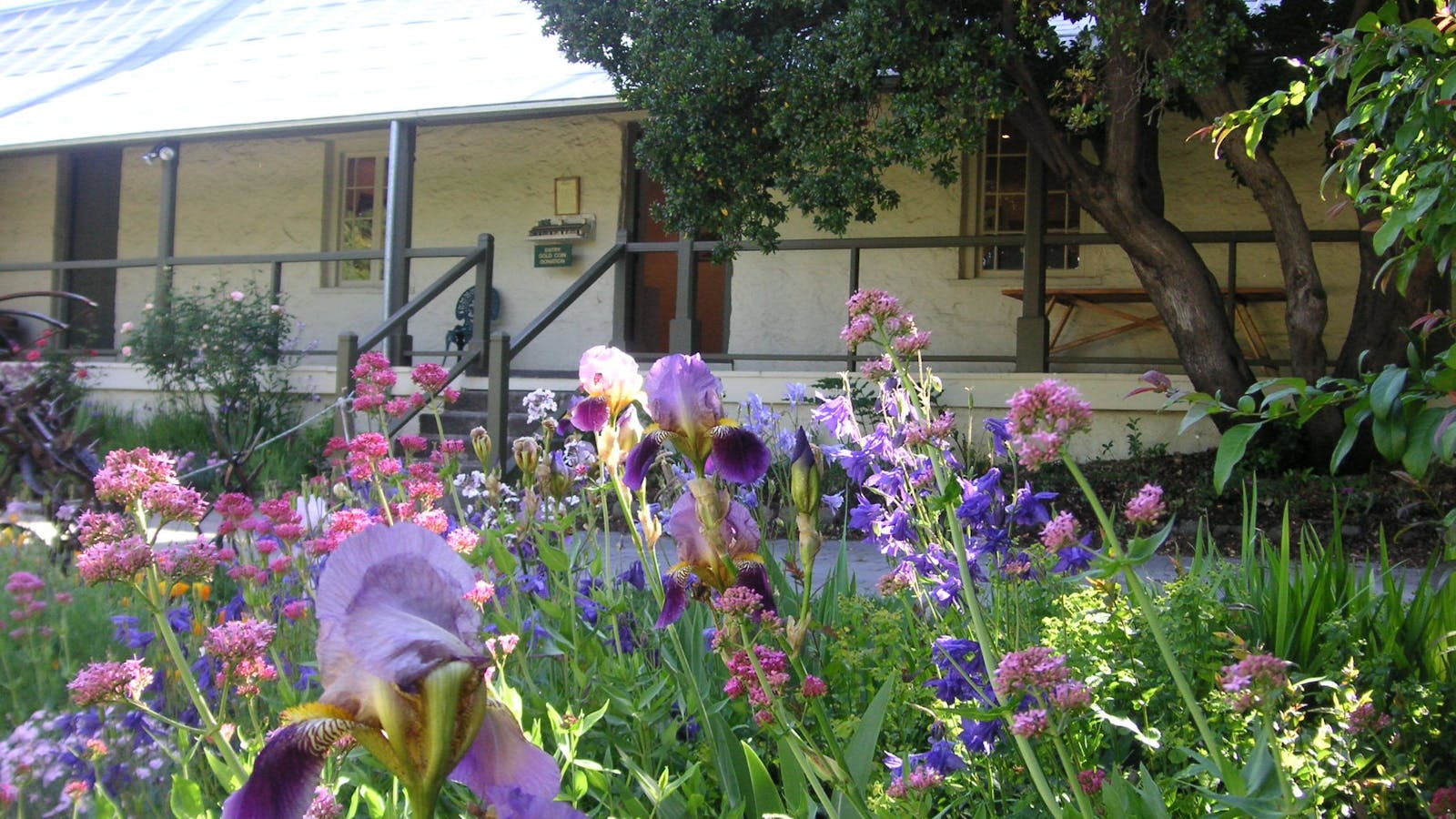 Raglan Gallery and Cultural Centre