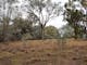 A small clearing at Stringybark Reserve