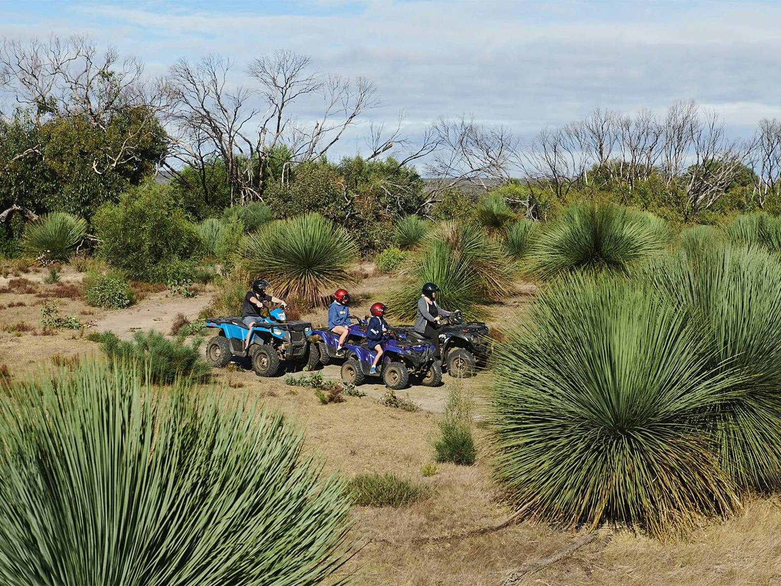 People on Quad bikes