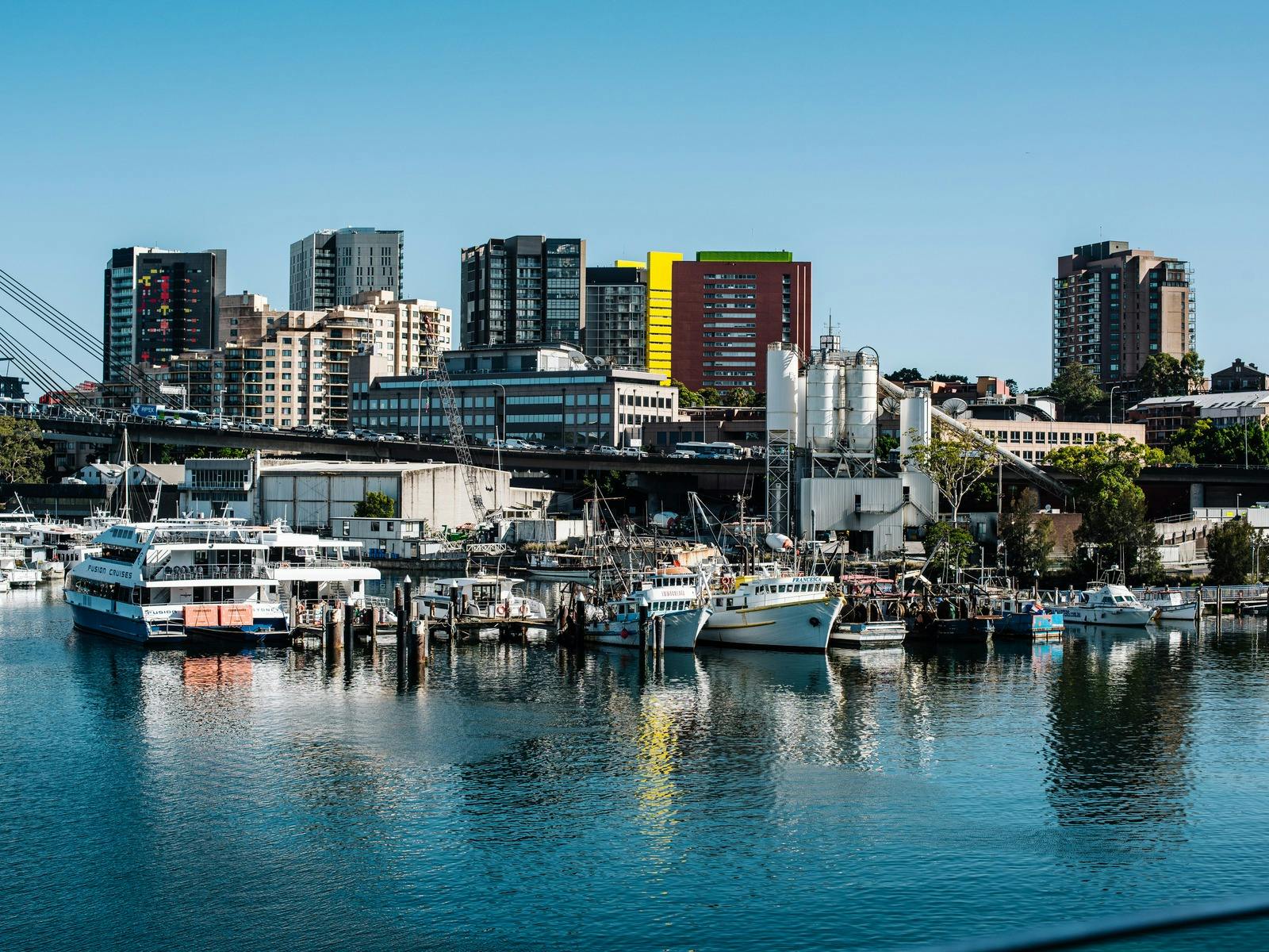 Pyrmont Bridge View