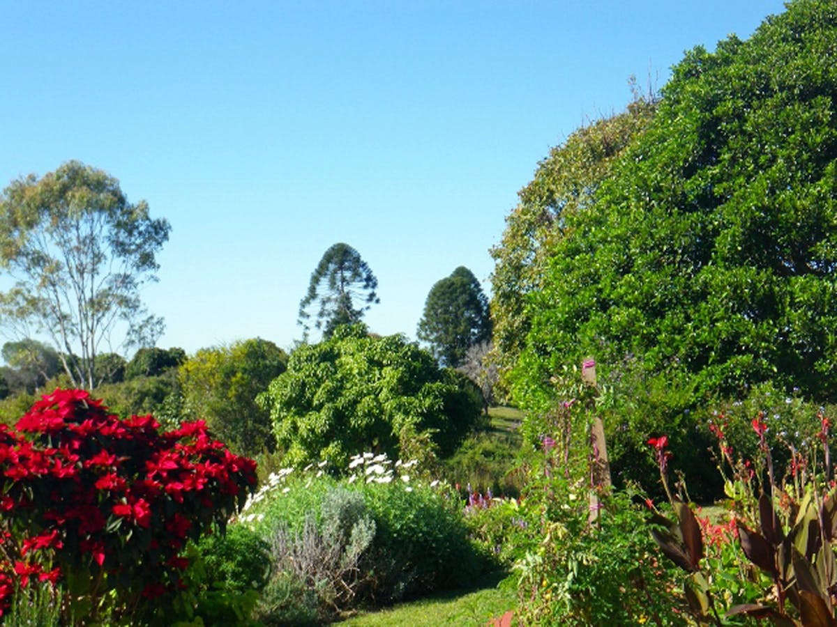 Eastwood Farm Queensland