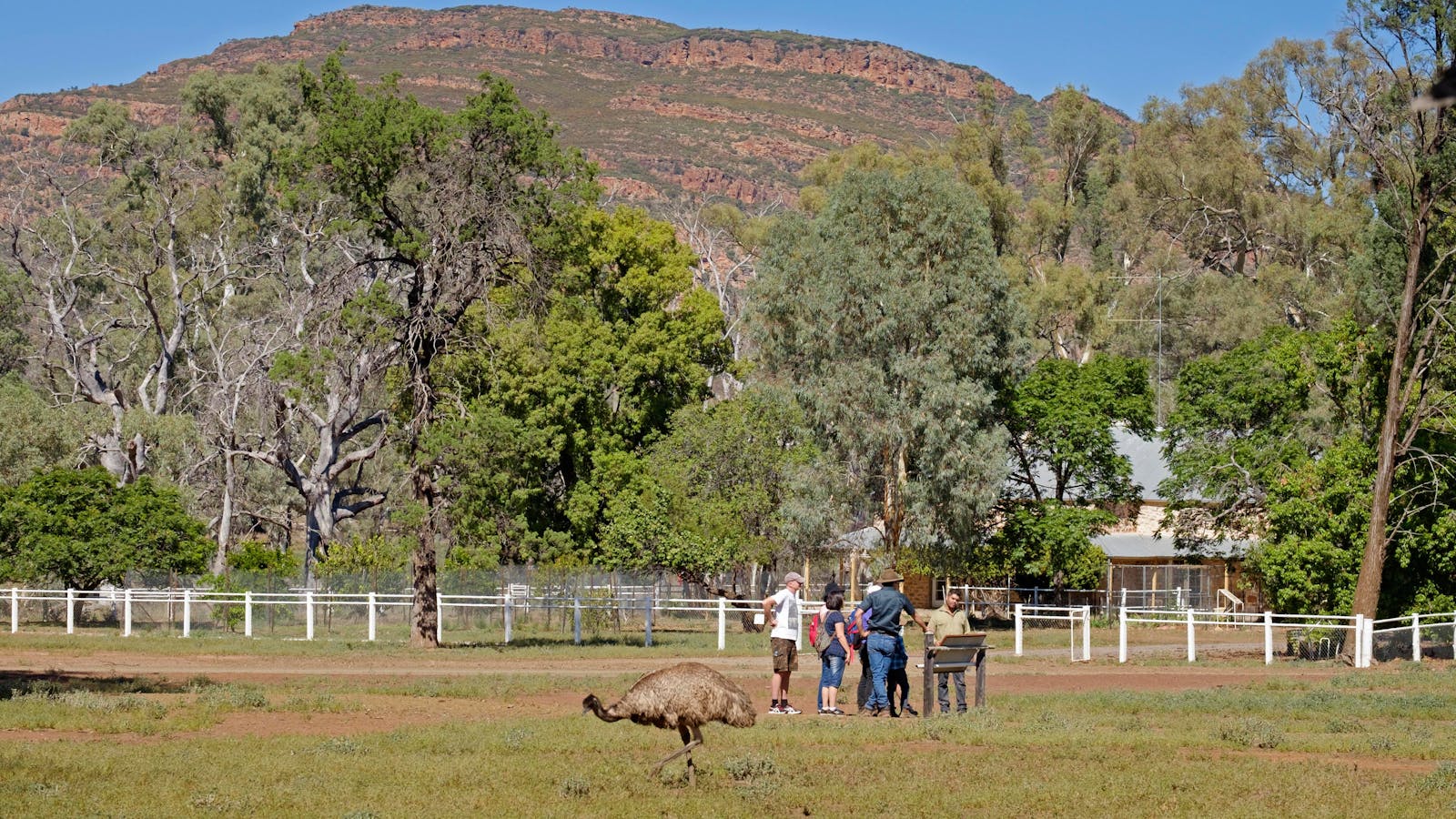 Yura Udnyu Aboriginal Cultural Tour - Wilpena Pound Resort