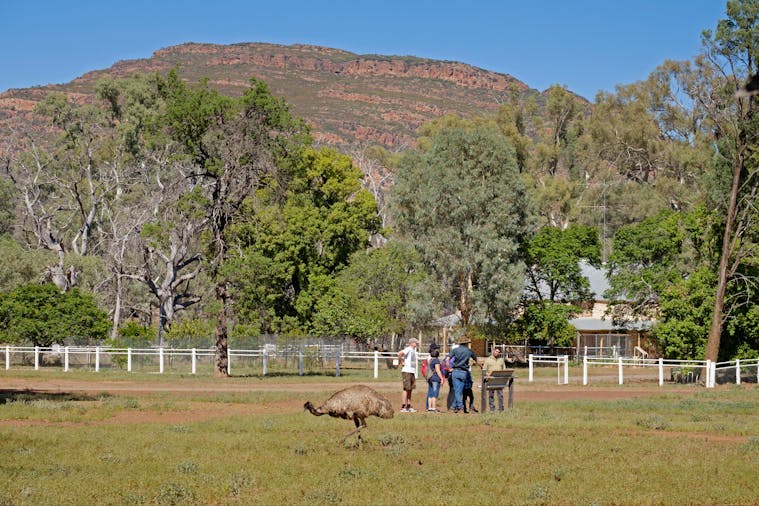 Yura Udnyu Aboriginal Cultural Walk