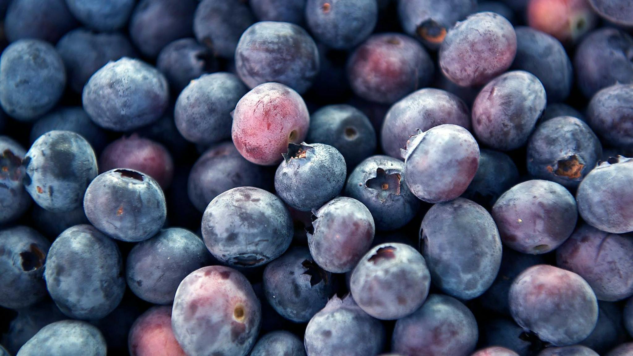 Mullum Farmers Market