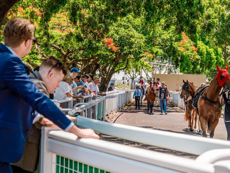 Image for Grand Prix Stakes Day at Doomben Racecourse