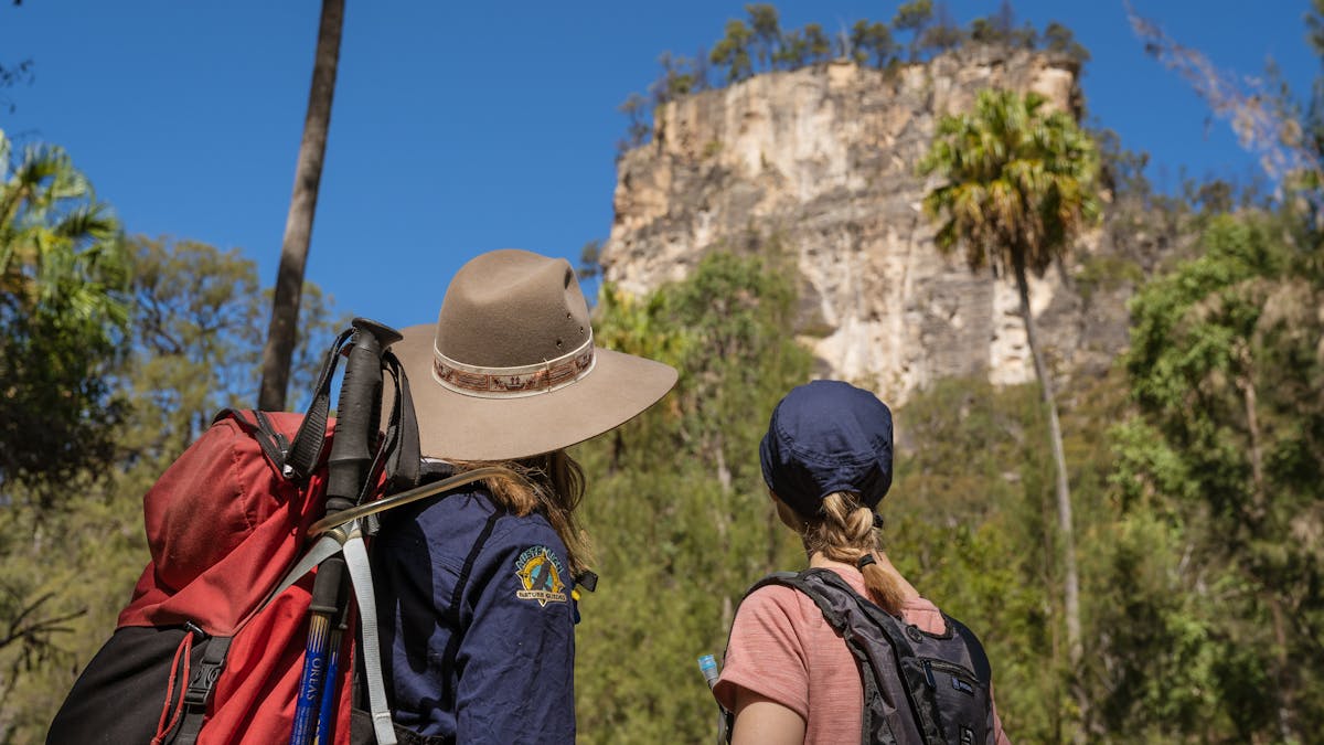 Tour guide and guest admiring the sandstone cliffs and iconic palm trees at Carnarvon Gorge.