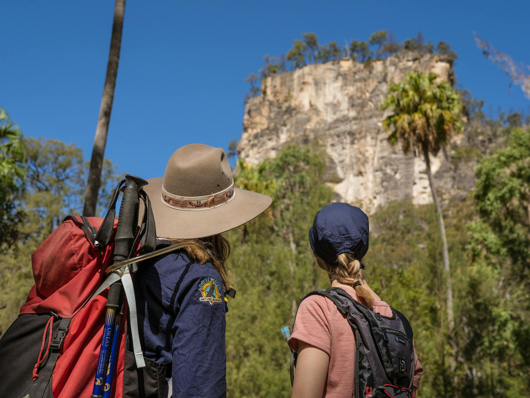 Tour guide and guest admiring the sandstone cliffs and iconic palm trees at Carnarvon Gorge.