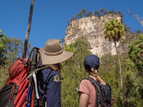 Tour guide and guest admiring the sandstone cliffs and iconic palm trees at Carnarvon Gorge.