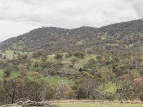 Spectacular view of Mt Brown