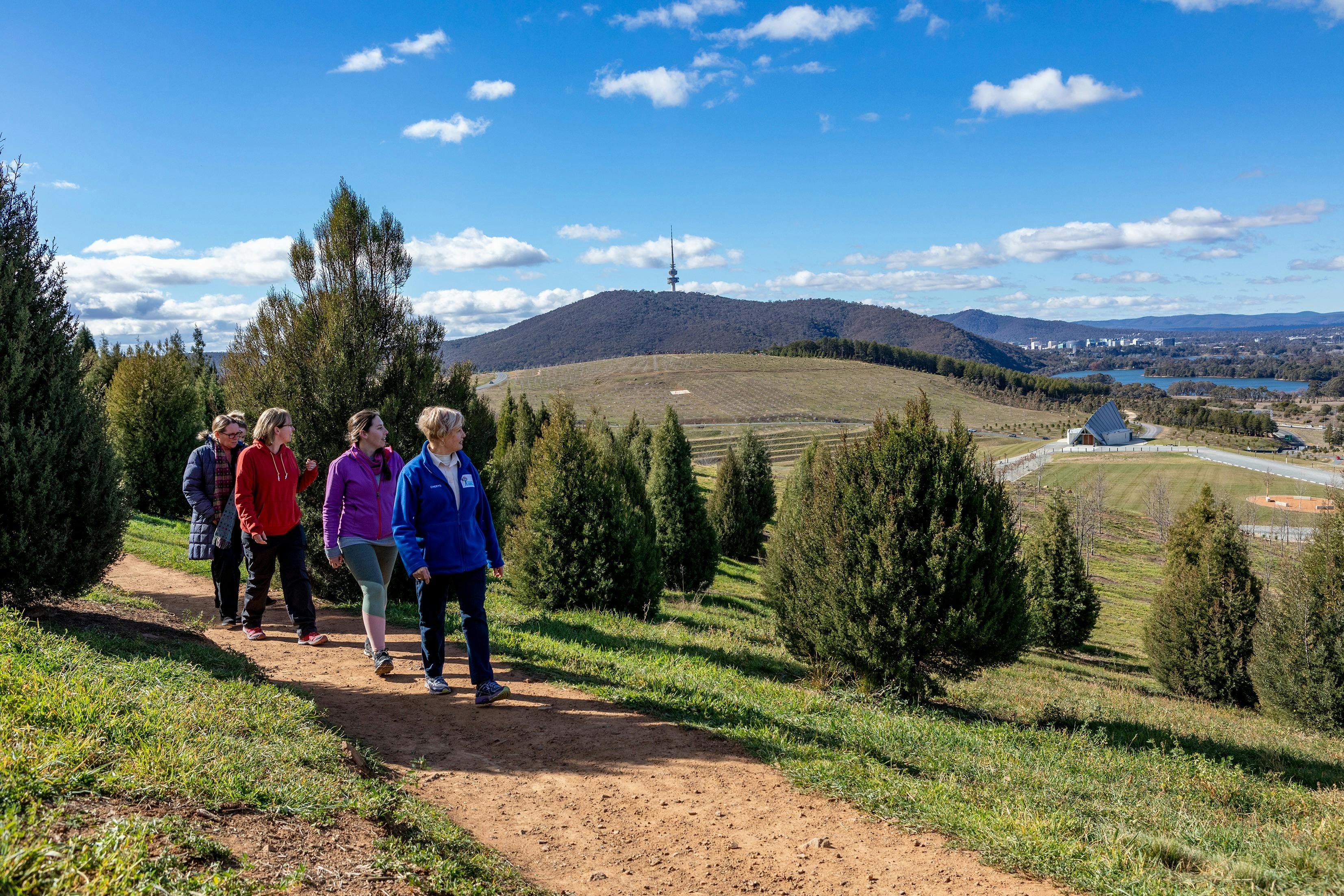 guide walking through forests with four people