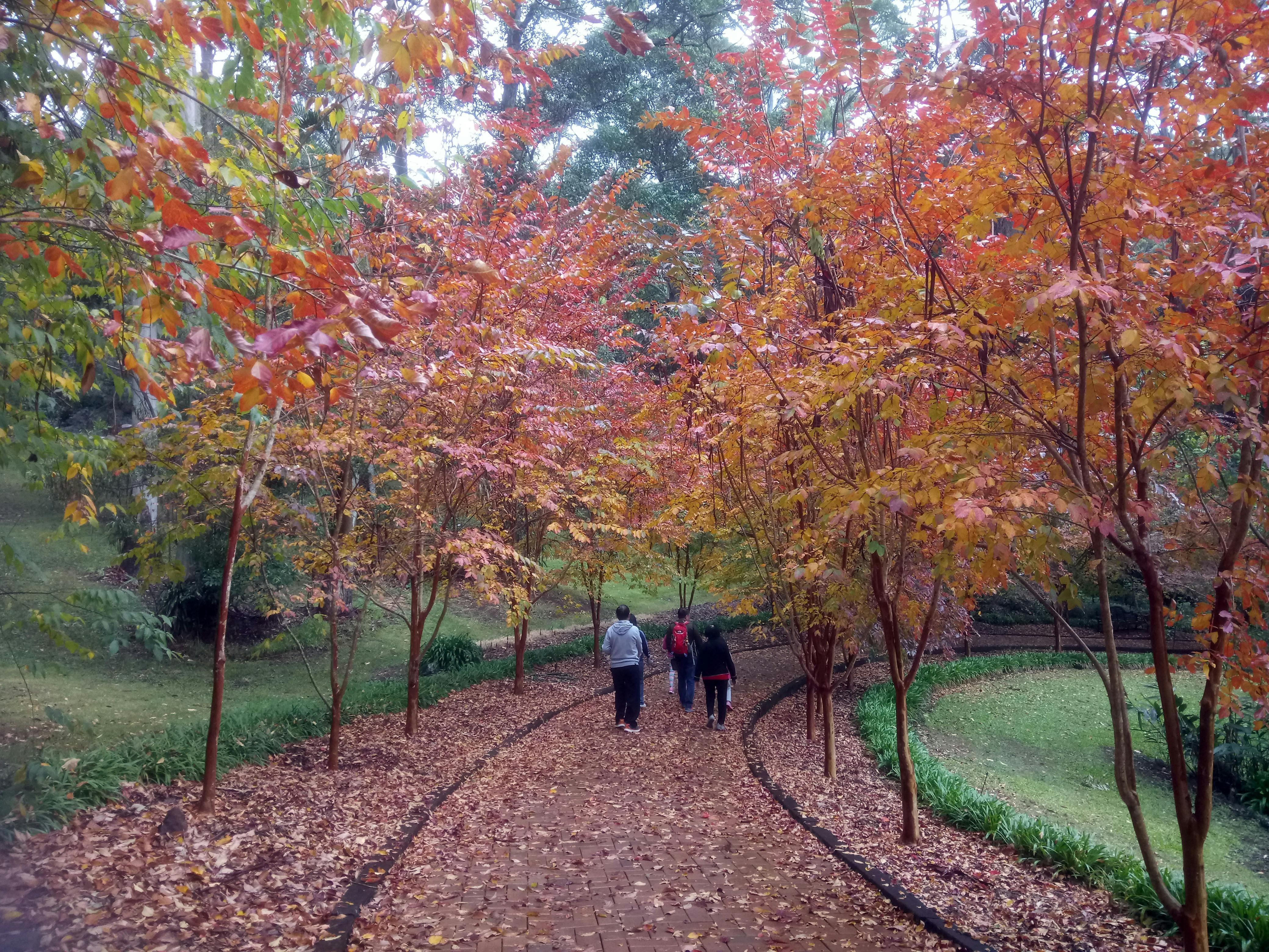 Rotunda walk in autumn