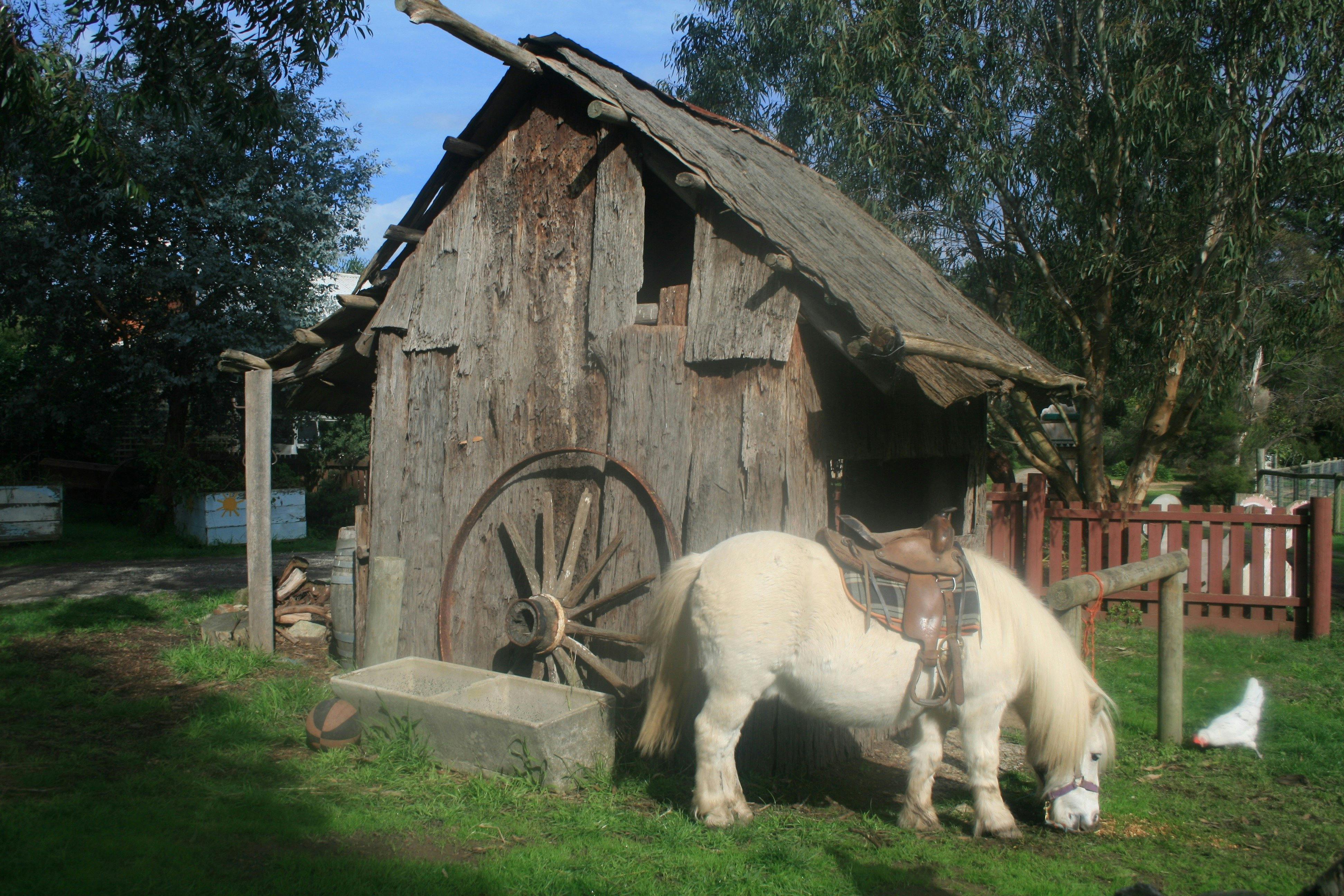 Rain Hayne and Shine Farmyard