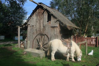 Rain Hayne and Shine Farmyard