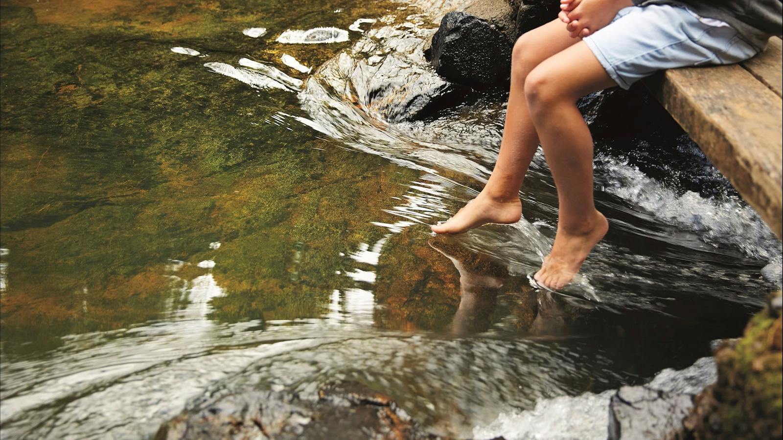 How to holiday on The Hibiscus Coast with your family