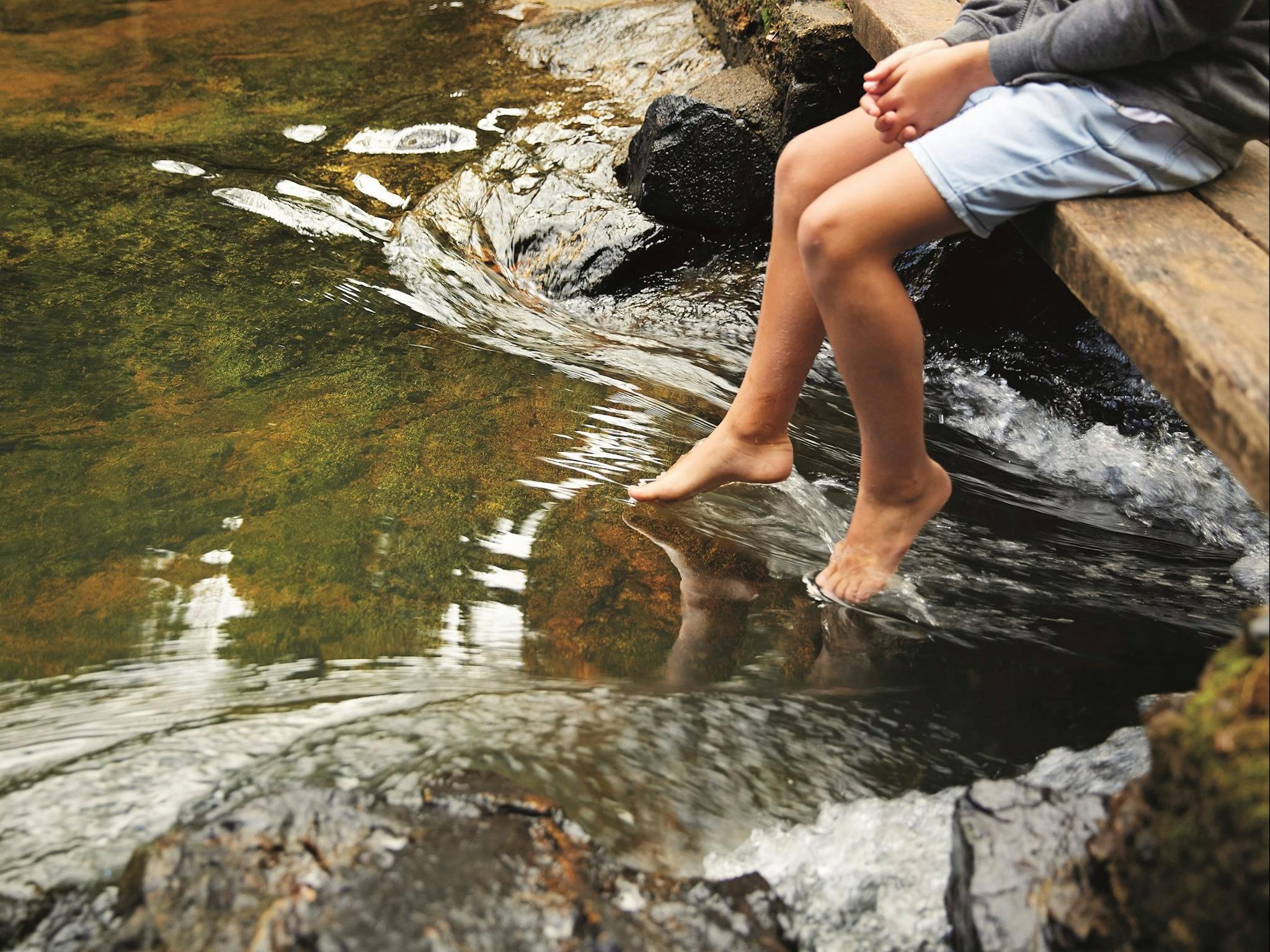 How to holiday on The Hibiscus Coast with your family