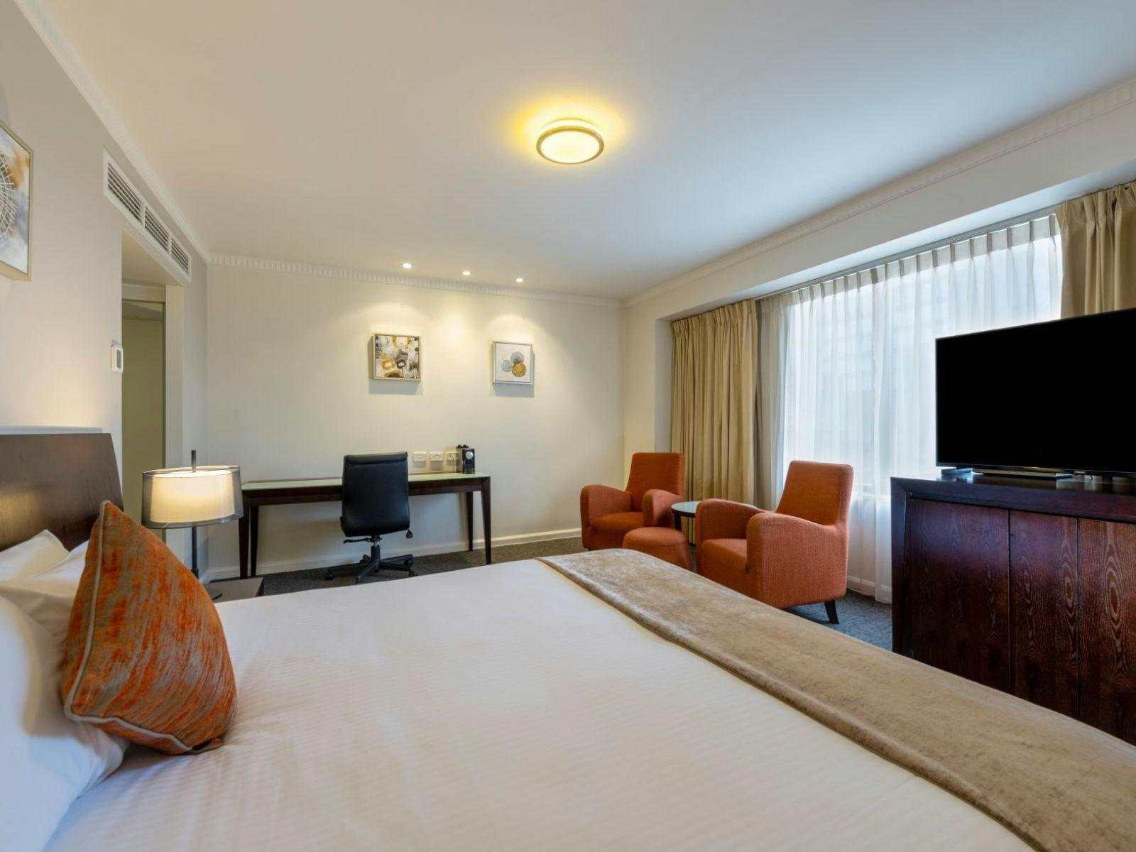 Executive King Plus Room