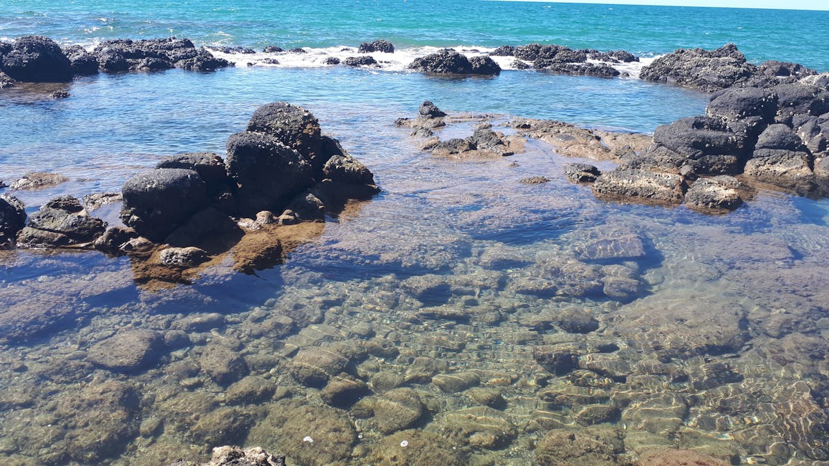 Oaks Beach Rock Pools