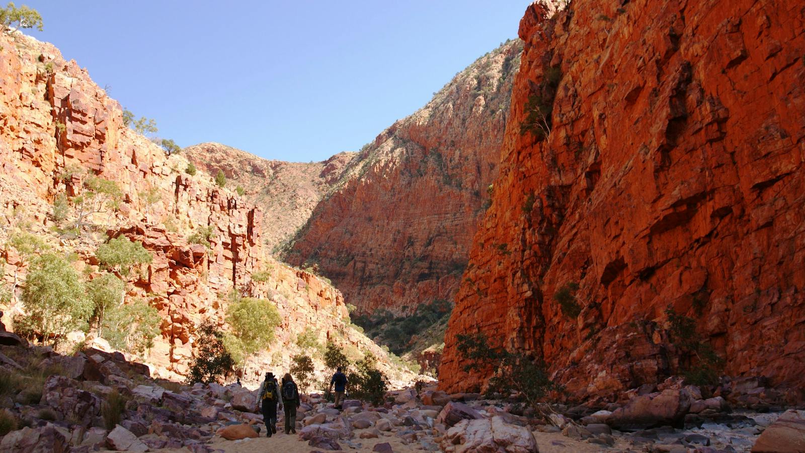Larapinta Trail
