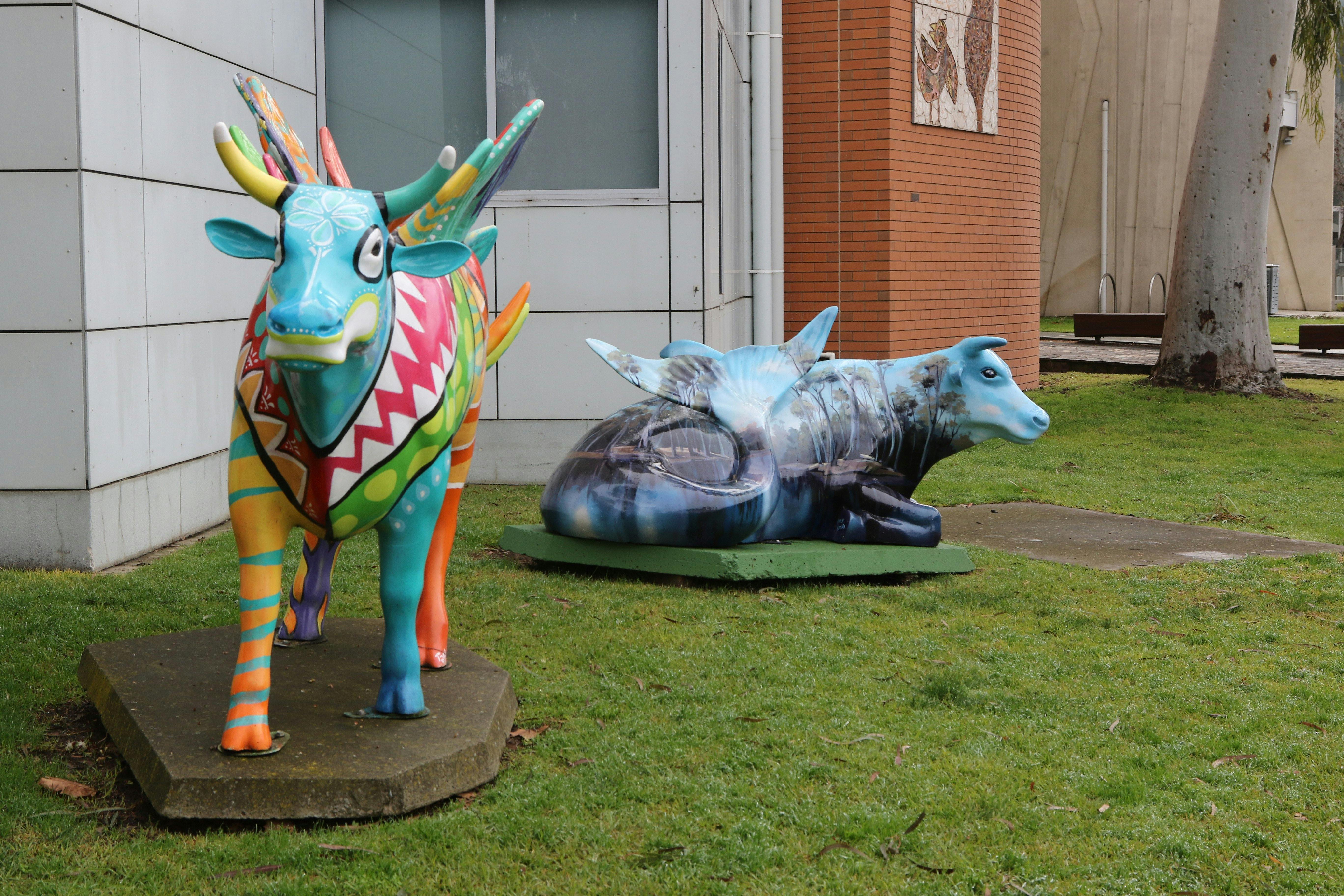 Shepparton & Goulburn Valley's Moooving Art Cows