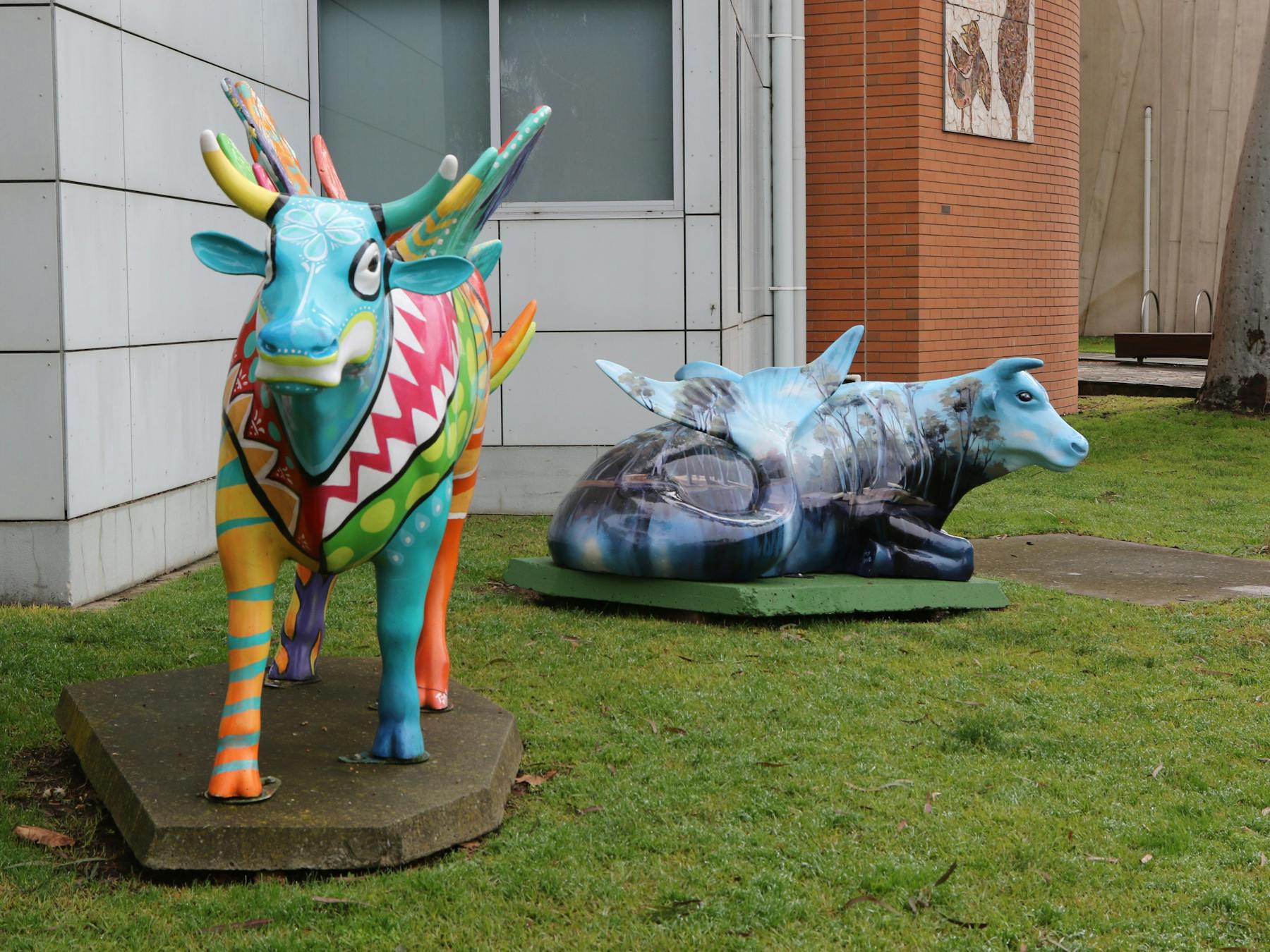 Shepparton & Goulburn Valley's Moooving Art Cows