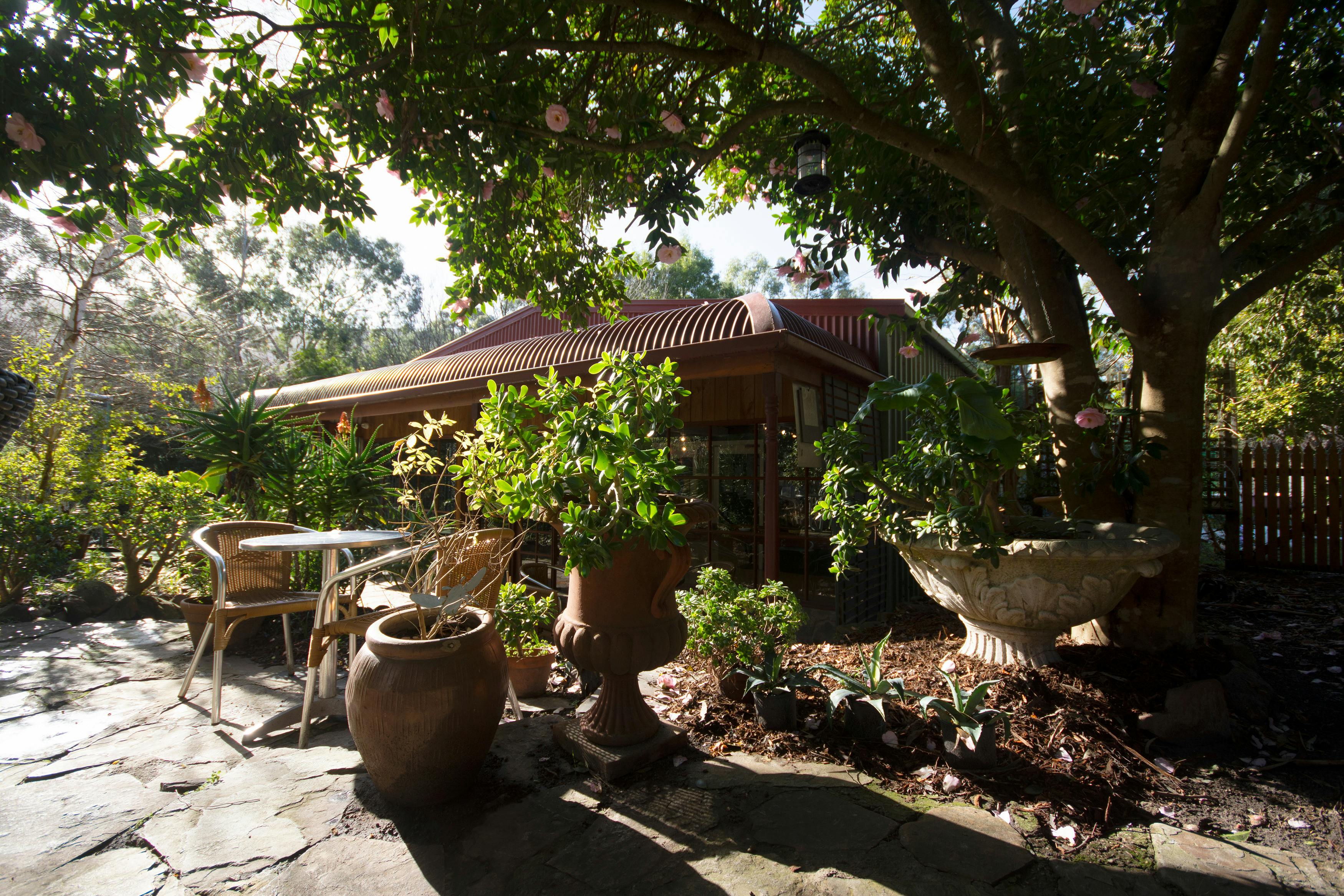 Adventure Cafe Bar
