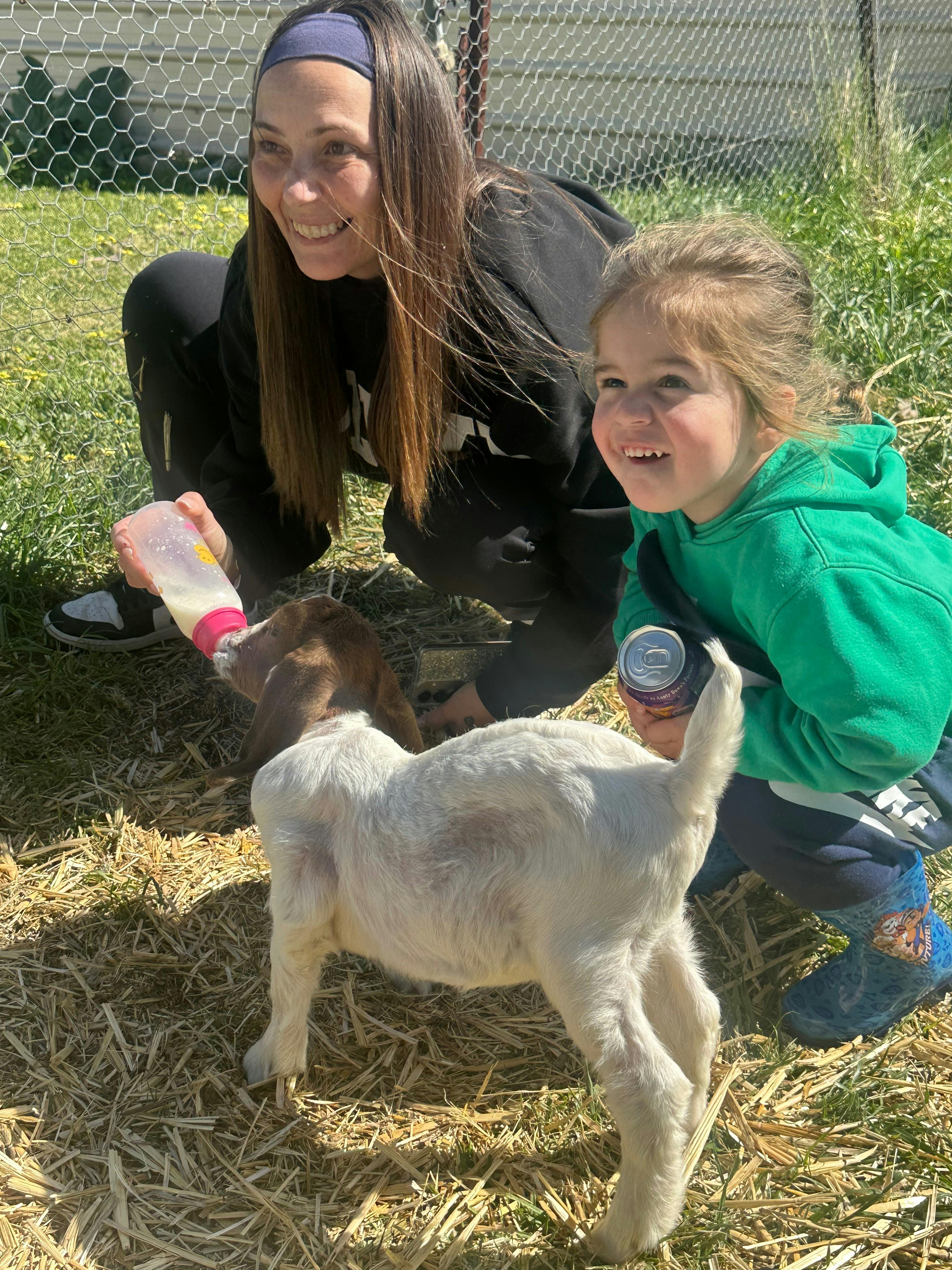 Just a week old goat meeting friends