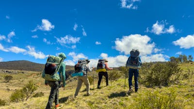 Nichols Gorge Walking Track