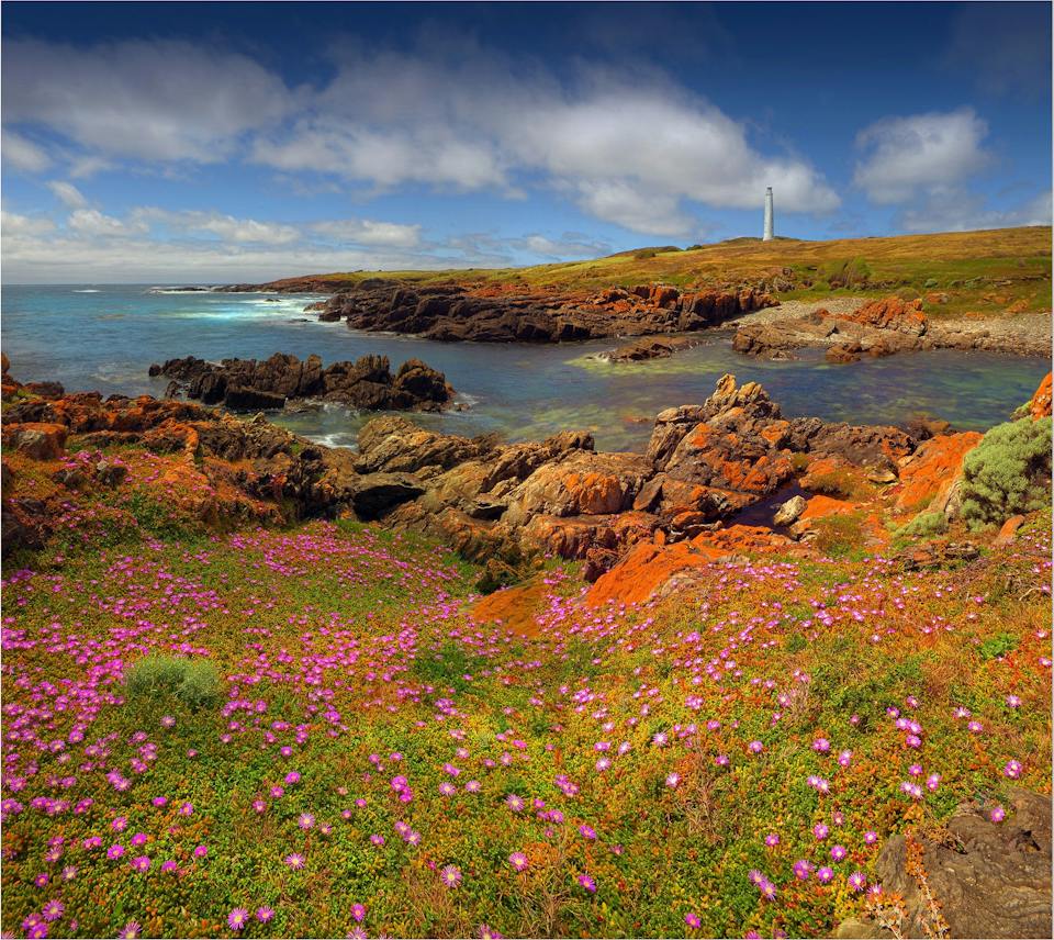 Festival of King Island 2027 photo