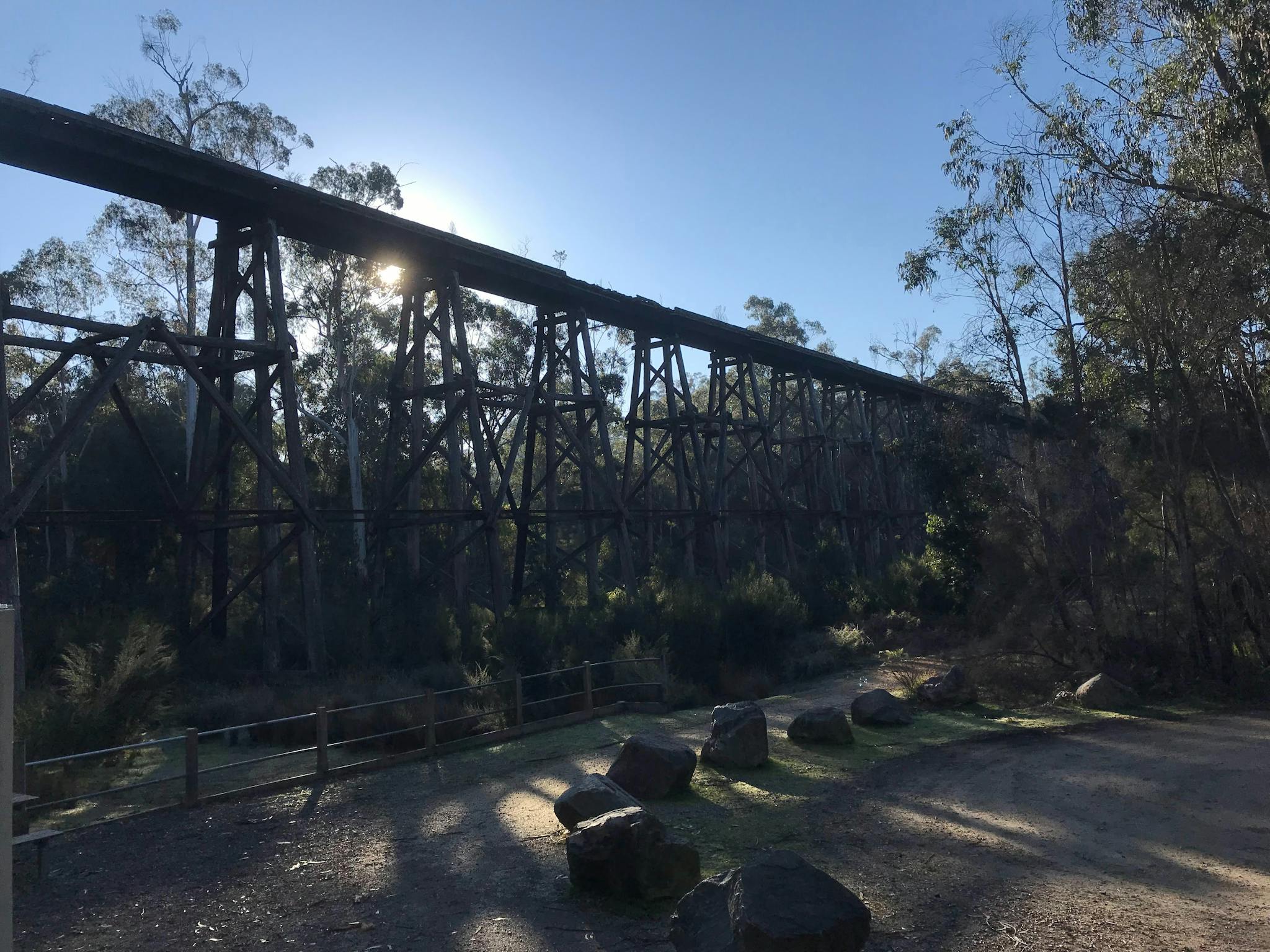 tall wooden bridge surrounded by forest