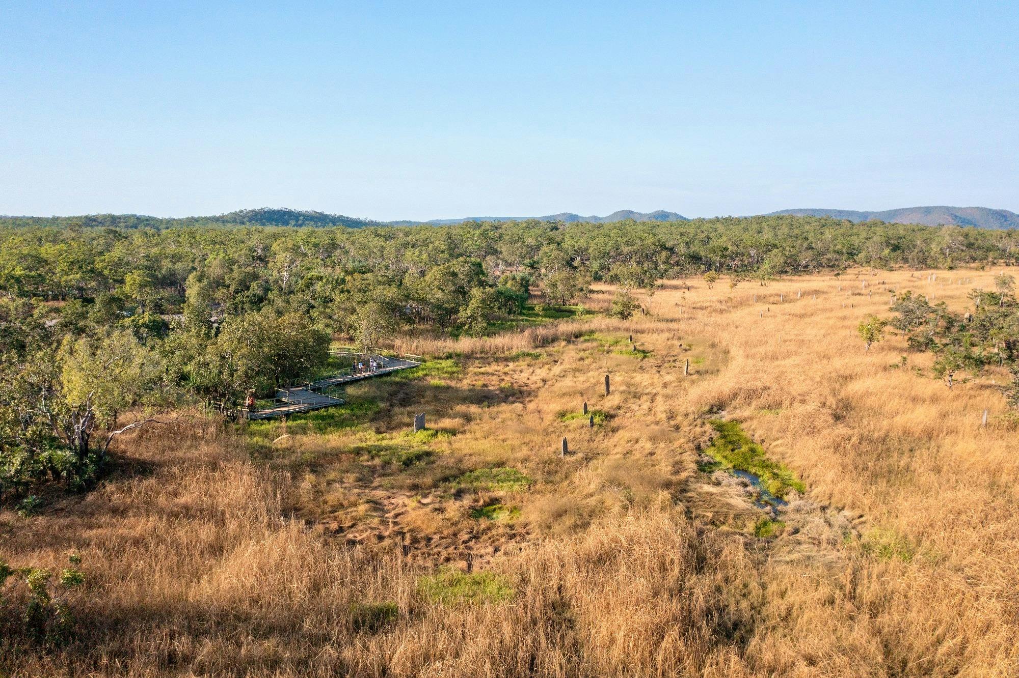 Magnetic termite Mounds