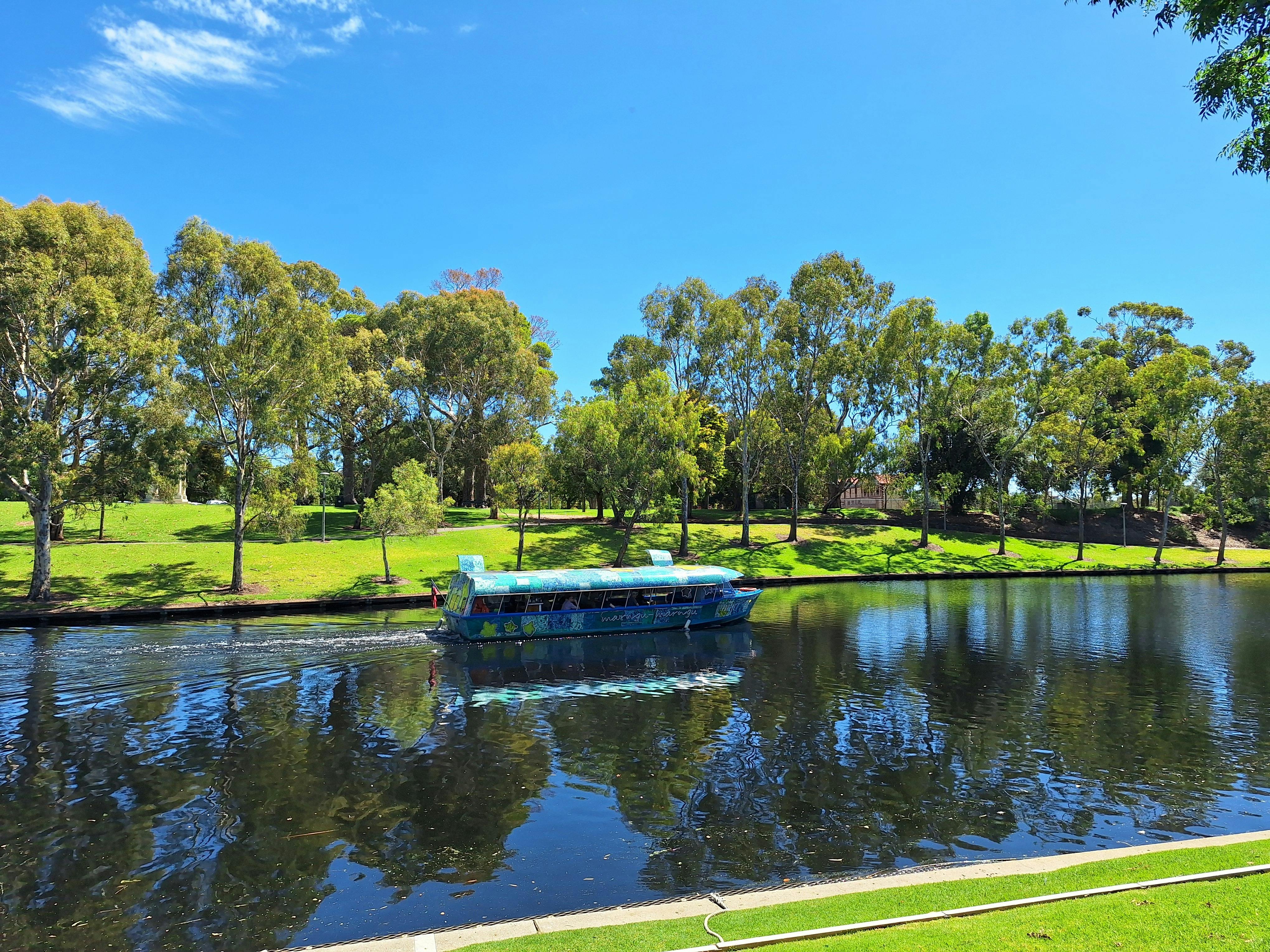 Discover Adelaide: City Walk and River Cruise