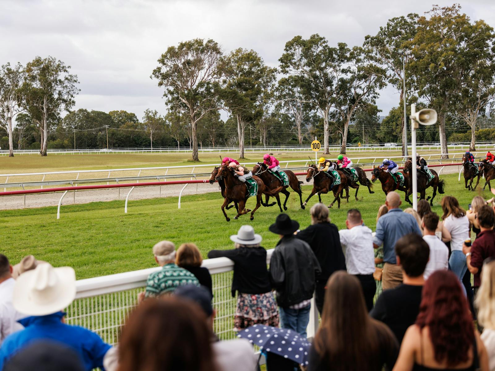 Image for ANZAC Day Races – Beaudesert Race Club