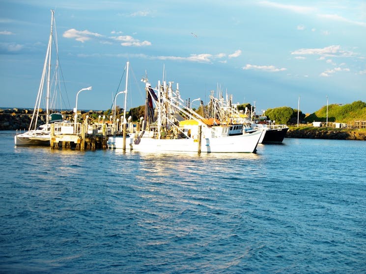 Boats
