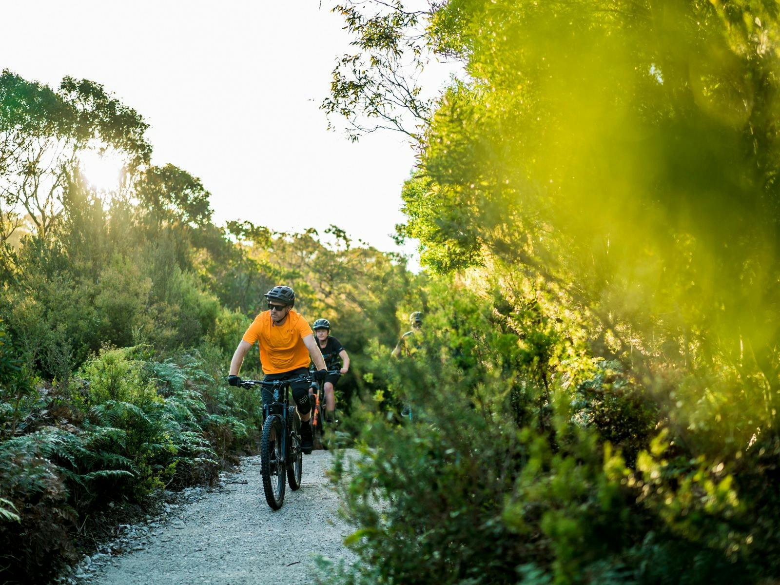 Ocean Beach MTB Trails