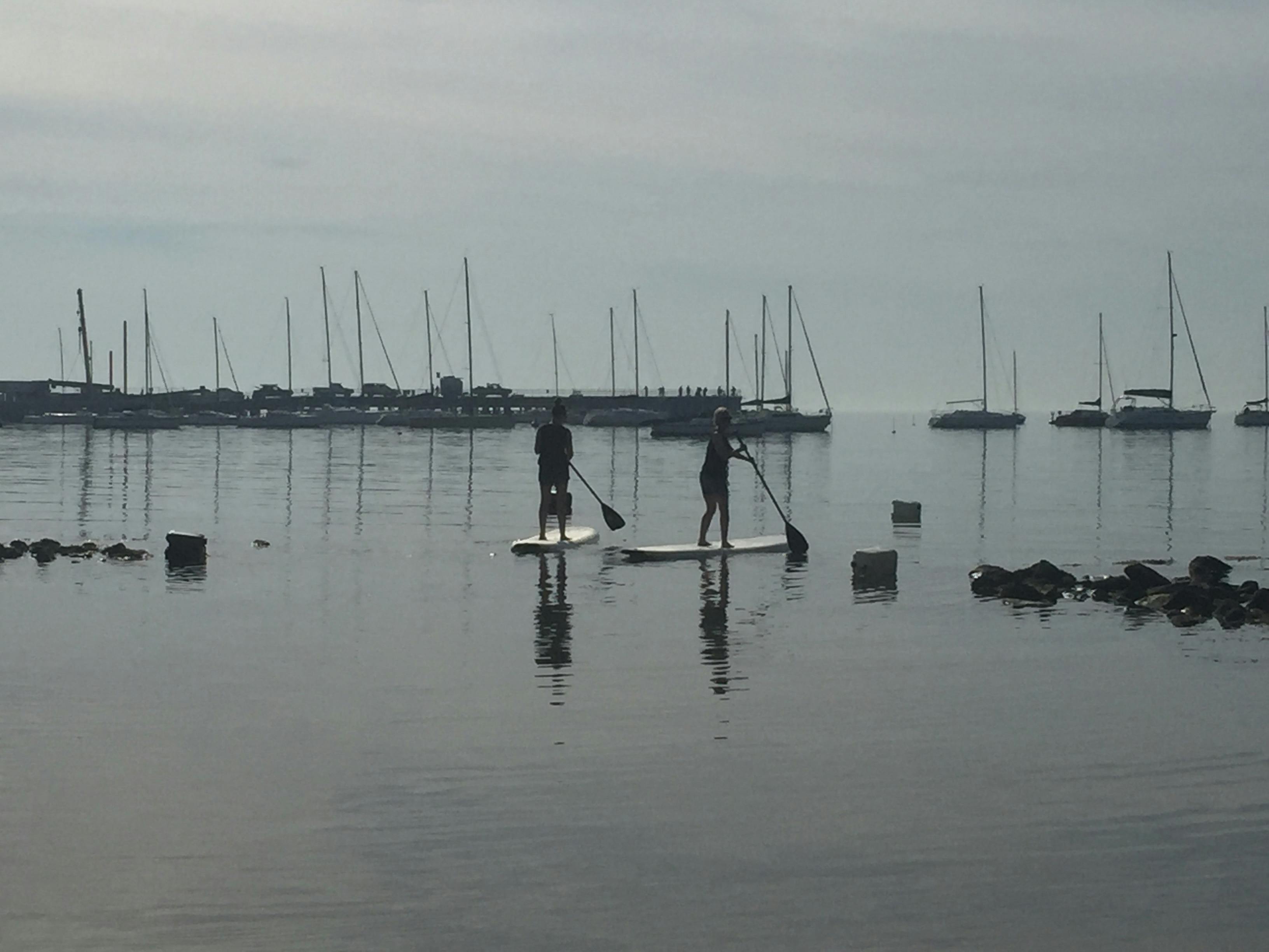 Stand Up Paddle Board hire Mornington Peninsula Melbourne